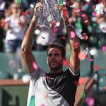 Juan Martín del Potro