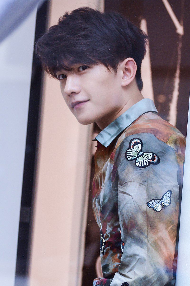 800px-Yang_profile_pic
