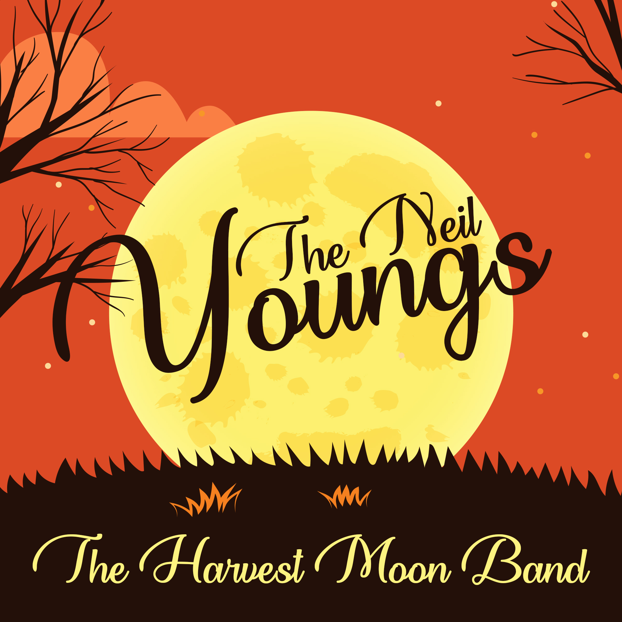 Neil Young Tribute Band