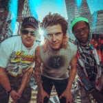 Too Many Zooz